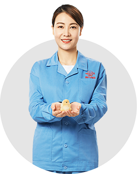 2025奥门原料免费资料